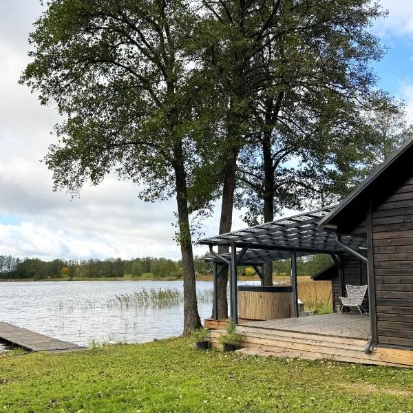 Peaceful lake retreat with sauna，位于Meldžiūnai的酒店