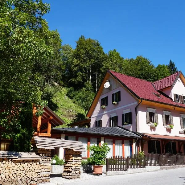 Guest House Gostišče Gačnk V Logu，位于Šebrelje的酒店