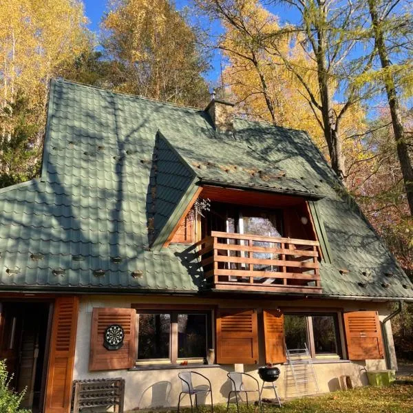 Domek w Lesie，位于Łęki的酒店