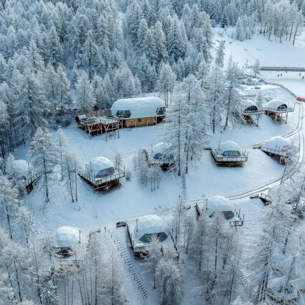 Alpin D'Hôme Hôtel & Spa，位于莱索尔的酒店