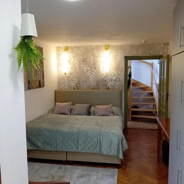 Bükkös Bird Apartman，位于圣安德烈的酒店