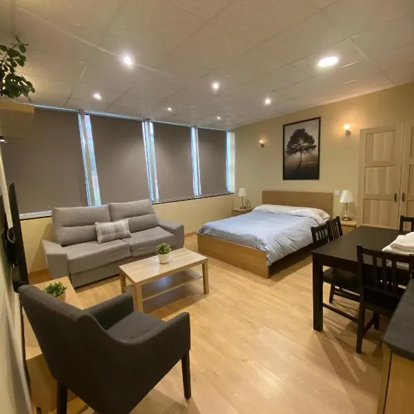 Estudios 85 - Cerca de Madrid, Toledo y Parque Warner，位于帕尔拉的酒店