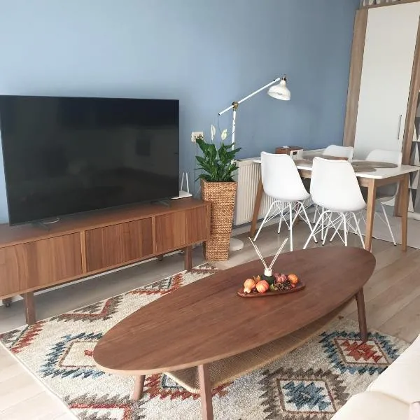 River Apartment，位于卢戈日的酒店