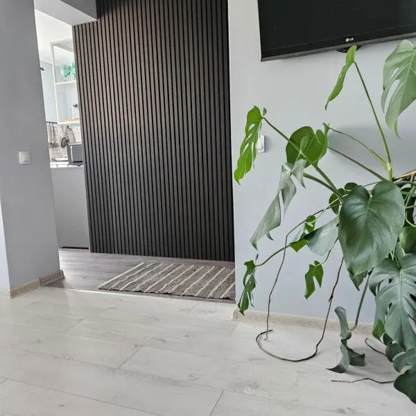 Pigeon apartment，位于库尔迪加的酒店