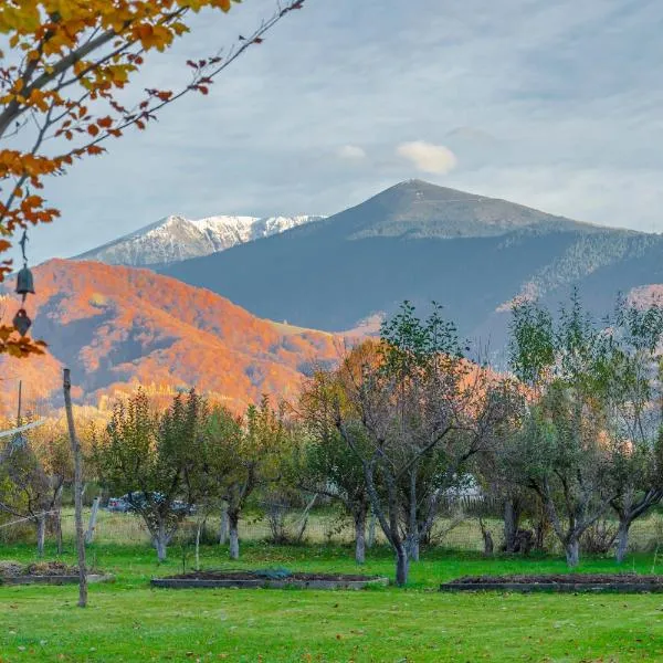 Casa-Dorina，位于Petrila的酒店