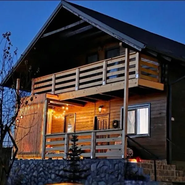 The Wooden Nest -Covasna，位于科瓦斯纳的酒店