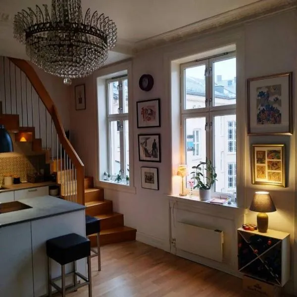 Spacious, modern apt in best part of town，位于奥斯陆的酒店