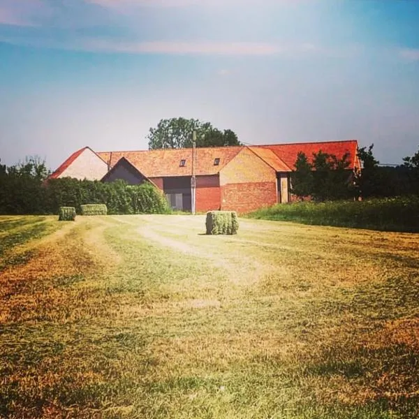 Les Pommiers Sauvages，位于Ellezelles的酒店