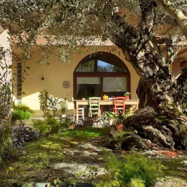 A casa di Jolanda guesthouse - near historic Venice center with private garden and 5 min drive to motorways A57 and A4，位于梅斯特的酒店