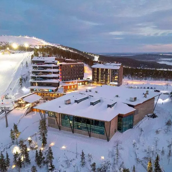 Hotel Levi Panorama，位于列维的酒店