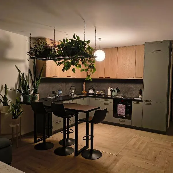 Apartament Rutkiewicz，位于兰卡特的酒店