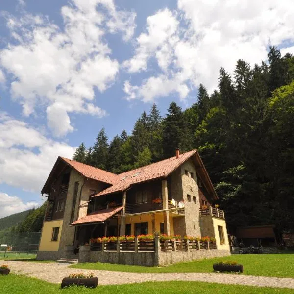 Pensiunea Denisa，位于Bistra Mureşului的酒店