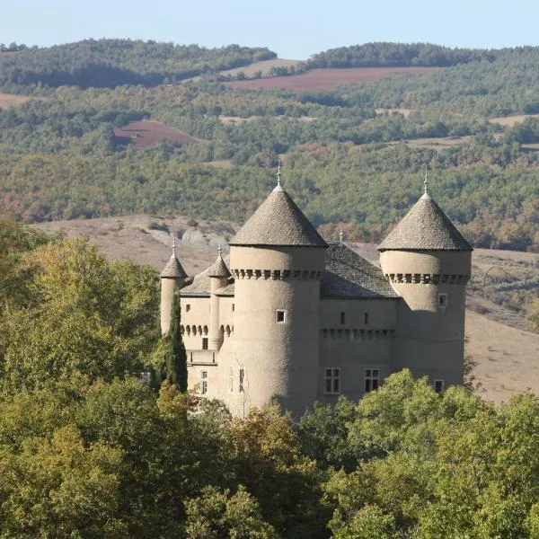 Chateau de Lugagnac，位于塔恩河畔里维耶尔的酒店