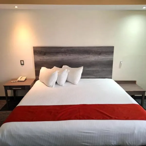 Hotel ALO! Express，位于托雷翁的酒店