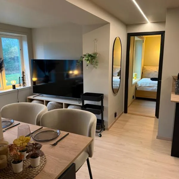 Notodden Luxe two-bedroom Apartment，位于诺托登的酒店
