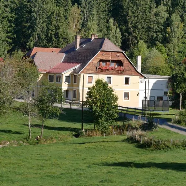 Ferienhaus Riegler，位于Sankt Georgen bei Neumarkt的酒店