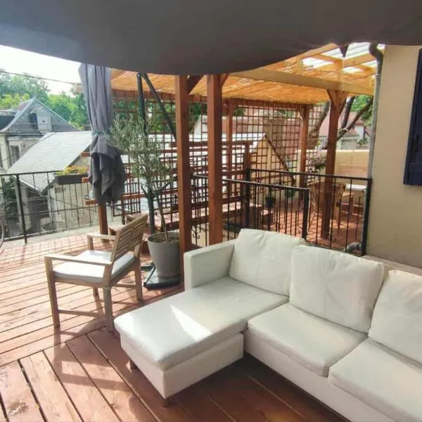 Studio Amboise, parking, terrasse et jardin，位于阿姆博斯的酒店