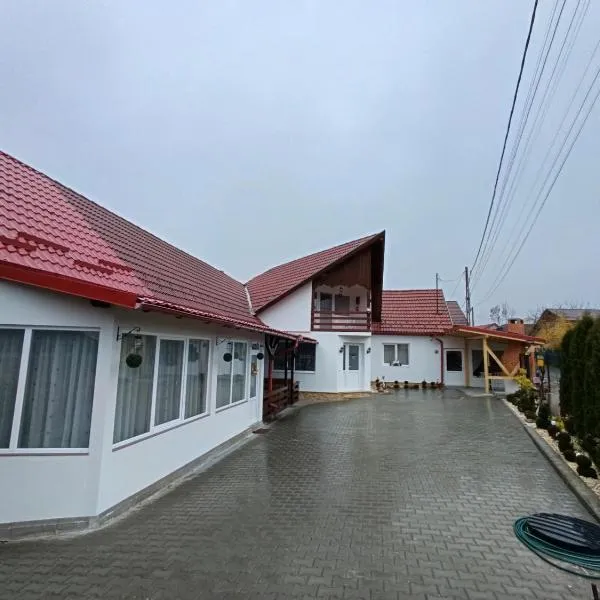 Casa Ioana Întorsura Buzăului，位于Brădet的酒店