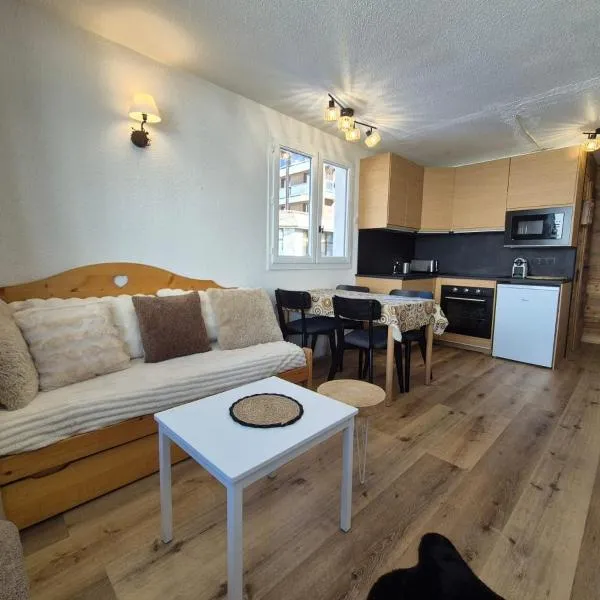 RPP A119 ski au pied appartement 6pers,位于蒂涅的酒店
