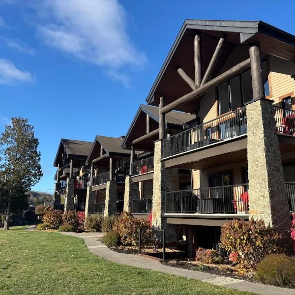 Condo de luxe au pied de la montagne，位于圣索弗尔-德斯蒙特的酒店