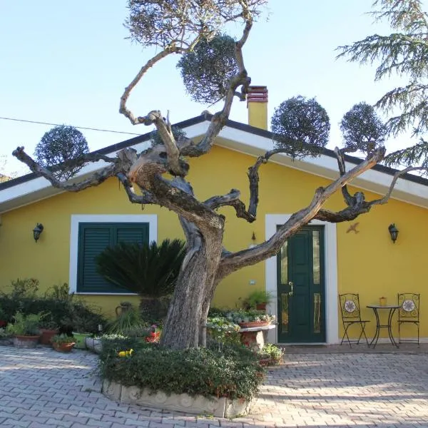 Bloemenhuis，位于Pianella的酒店