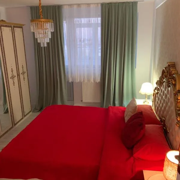Slatina Cornisiei Luxury apartament central 2 camere și living Oferim transport de la aeroport și retur contra cost，位于斯拉蒂纳的酒店