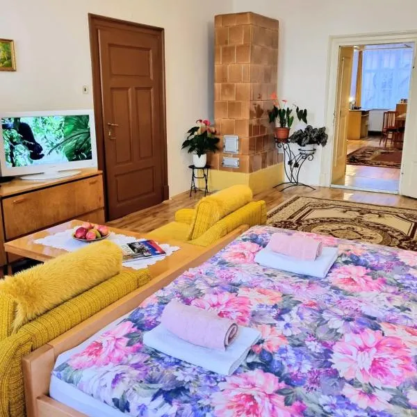 Apartment in a historical house in the center of Levoča，位于莱沃恰的酒店