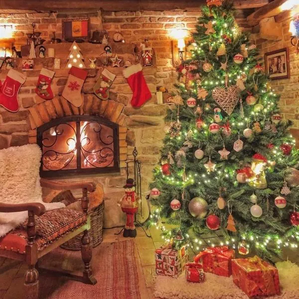 萨维利住宿加早餐旅馆，位于锡吉什瓦拉的酒店