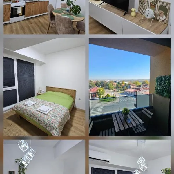 Airport Nest Skopje，位于Petrovec的酒店