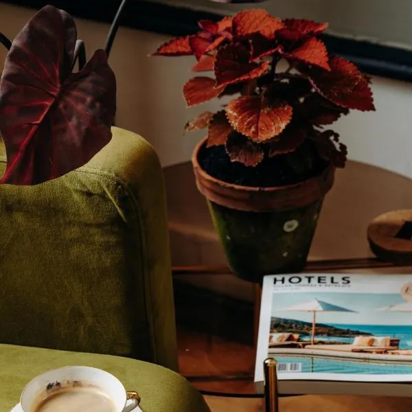 布蒂克酒店，位于安锡的酒店