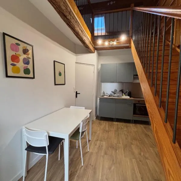 Duplex refait à neuf - Pibrac, proche Colomiers，位于Pibrac的酒店