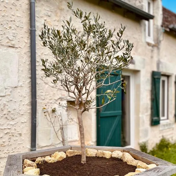 Voilà Le Logat - Chambres & Gîtes，位于Sainte-Gemme的酒店