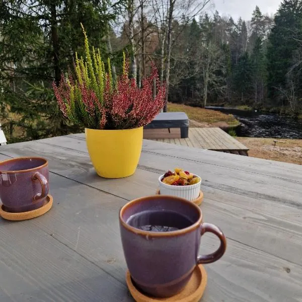 Braslas čuksti，位于Brasla的酒店