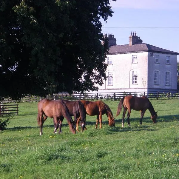 Glebe House，位于Ballymahon的酒店