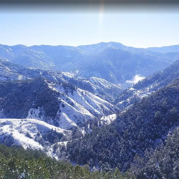 Hotel Royal Cedar Simla，位于西姆拉的酒店