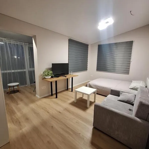 Kambarių nuoma prie Kauno oro uosto，位于卡梅拉瓦的酒店