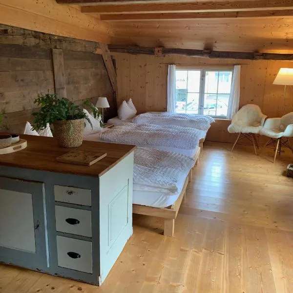 Fischerhäuser Romanshorn，位于罗曼斯霍恩的酒店