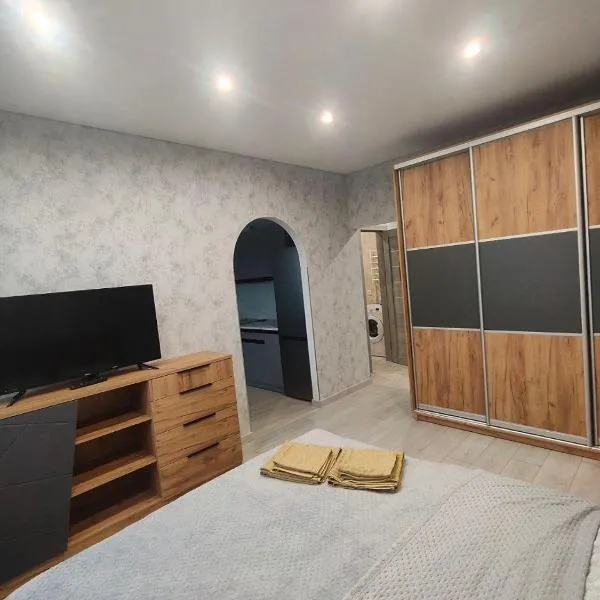 New Comfort Apartment，位于Hostomelʼ的酒店