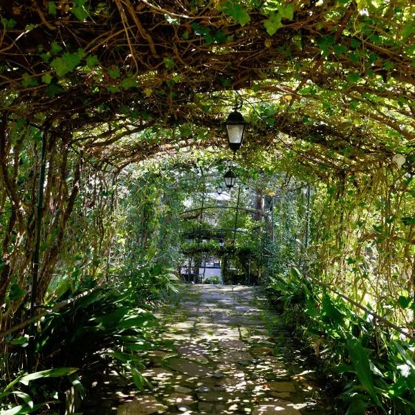 La Canonica - Villa Venturini Fendi，位于龙奇廖内的酒店