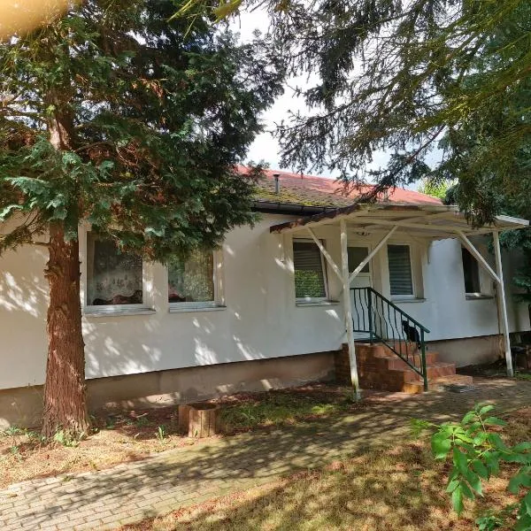 Bungalow 2 - 4-Raum-Wohnung mit Küche und 2 WC Duschen in Ohrdruf-Crawinkel，位于Ohrdruf的酒店