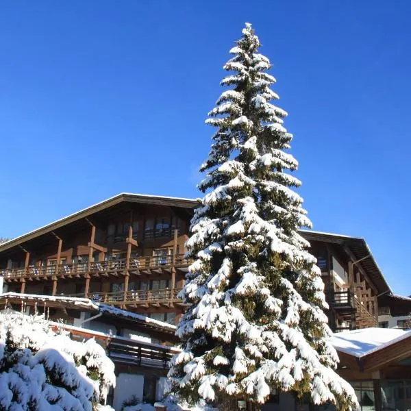 特伦托酒店，位于博萨迪法萨的酒店