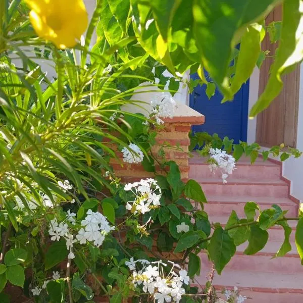 Appartement Jean-Pierre Vue sur Mer pour les familles，位于沃利迪耶的酒店