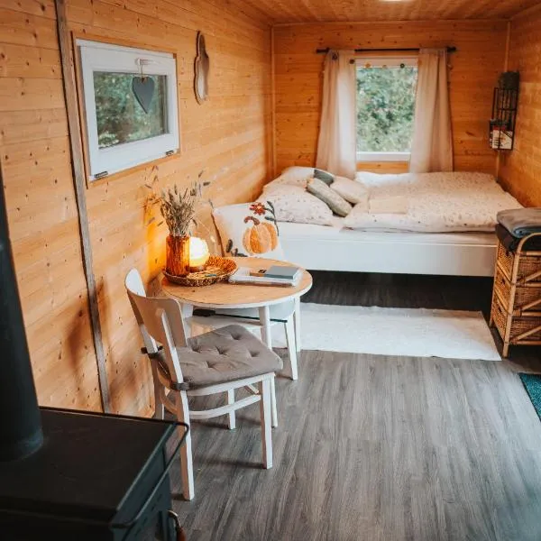 Maringotka Votavka，位于Borovy的酒店