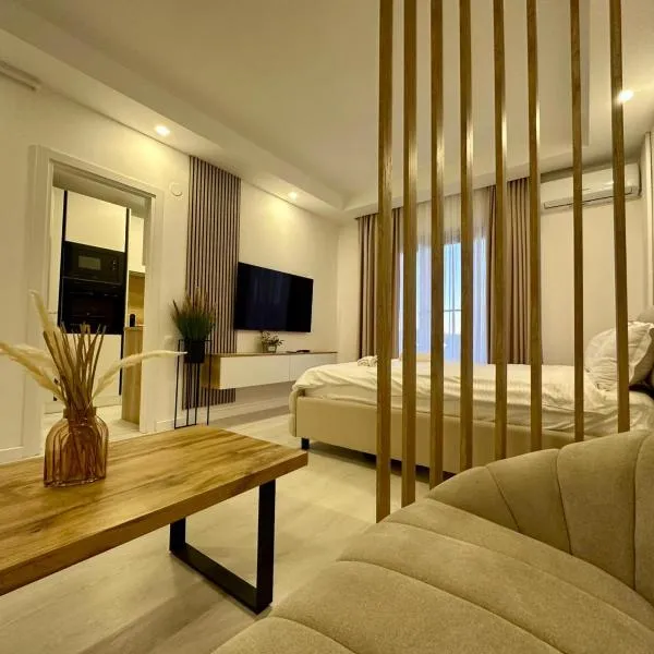 Orion Studio #cosmopolis，位于Tunari的酒店