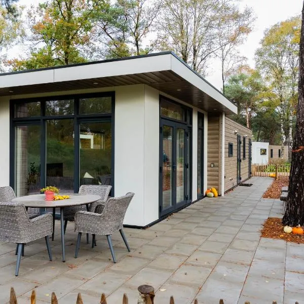 Chalet Vlinder，位于Haarle的酒店