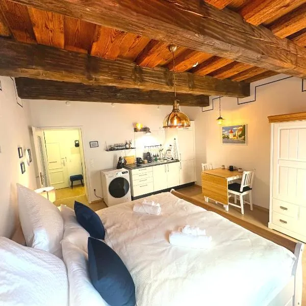 Gemütliches Altstadtjuwel im Herzen Passaus，位于帕绍的酒店