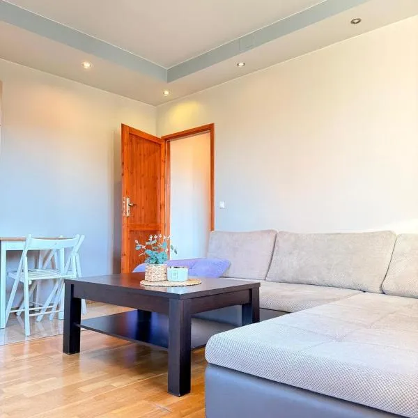 Apartamenty Gliwicka 12，位于Pławniowice的酒店