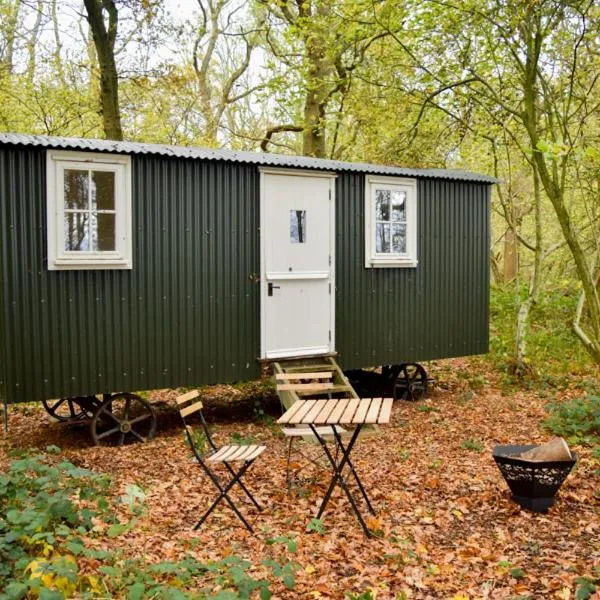 Shepherd Hut in the woods，位于Clothall的酒店