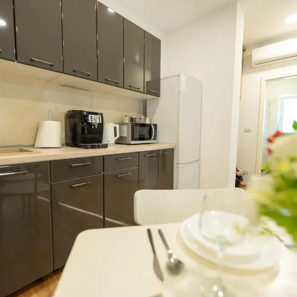 Esther Line Apartments - self check-in, free private parking，位于蒂米什瓦拉的酒店