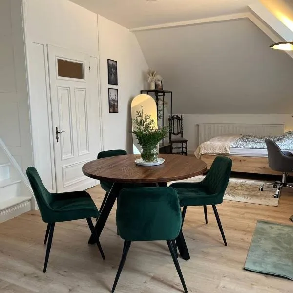 Elegantes Zimmer in historischer Villa in Siegen-Eiserfeld，位于锡根的酒店